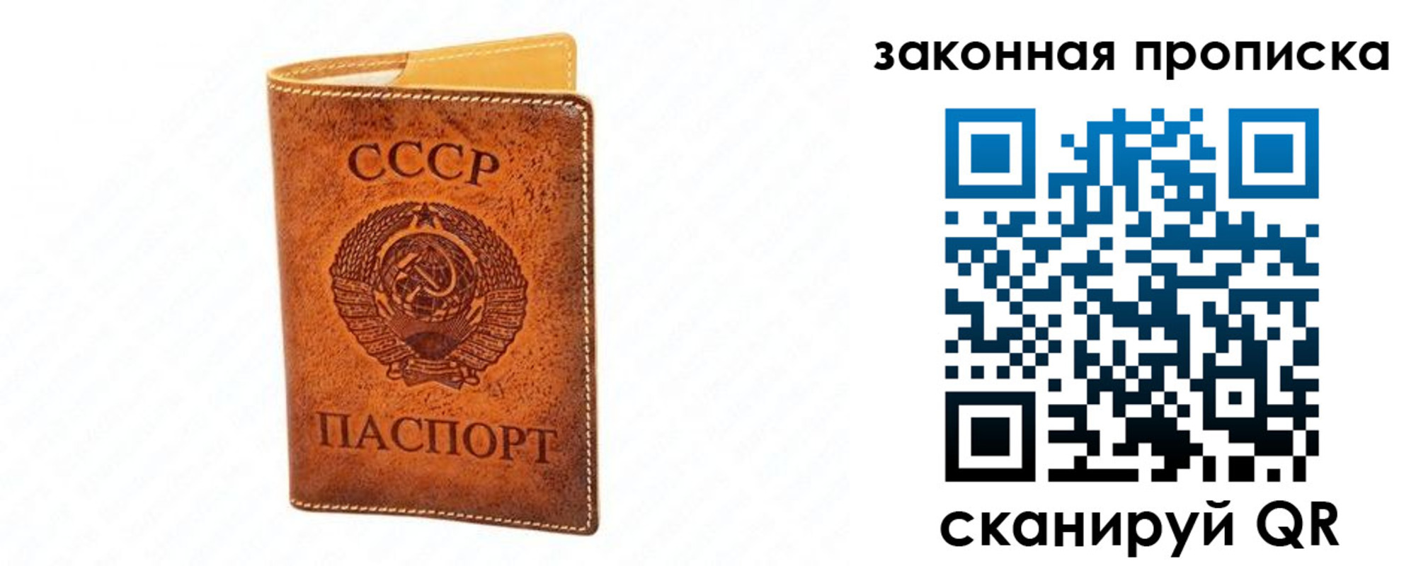 прописка в Ковдоре